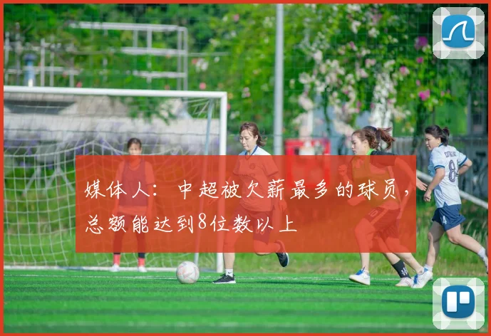 媒体人：中超被欠薪最多的球员，总额能达到8位数以上