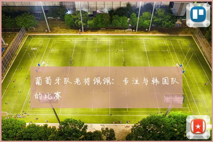 葡萄牙队老将佩佩：专注与韩国队的比赛